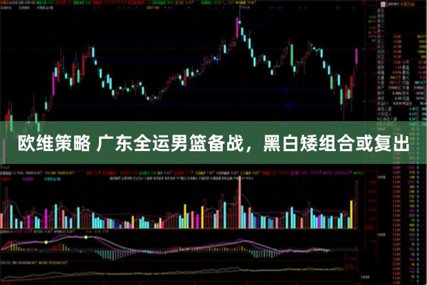 欧维策略 广东全运男篮备战，黑白矮组合或复出