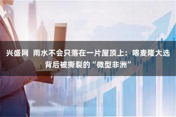 兴盛网  雨水不会只落在一片屋顶上：喀麦隆大选背后被撕裂的“微型非洲”