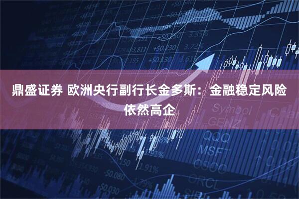 鼎盛证券 欧洲央行副行长金多斯：金融稳定风险依然高企